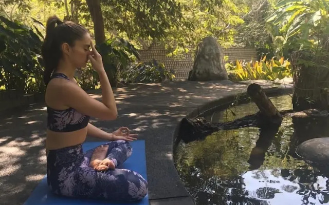 Casa Ave del Risco (Villa con río y cascada al interior)