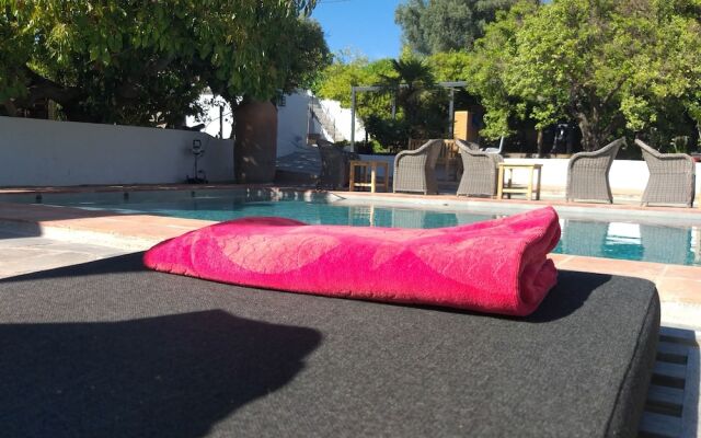 El Violin Experiencia