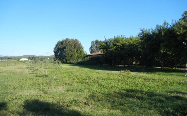 Azienda Agrituristica Le Betulle