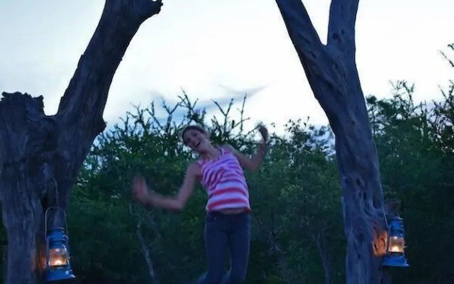 Wild Olive Tree Camp