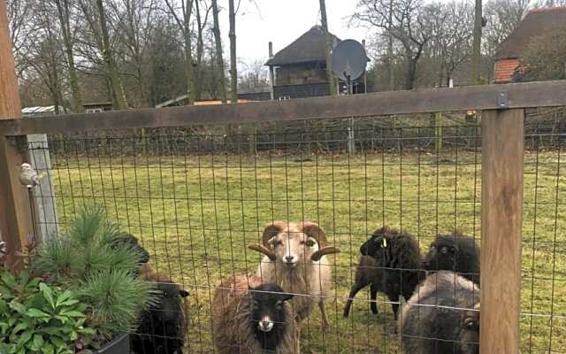 Schaap8 Bed en Breakfast