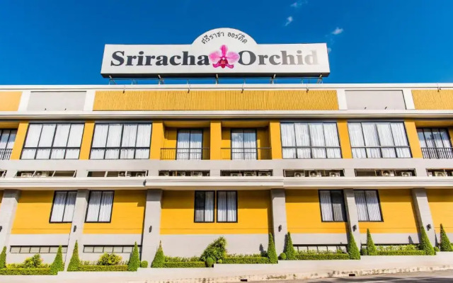 Sriracha Orchid