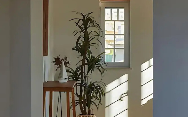 Villa Monte das Oliveiras