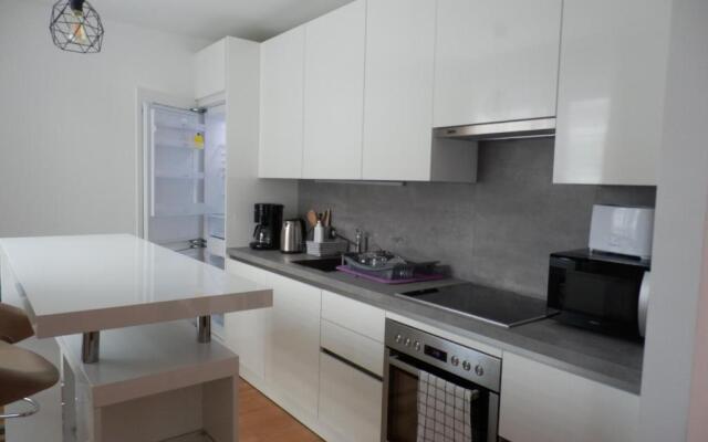 Spacious, Modern 1-bdrm Apt near VIC & Austria Ctr