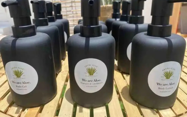 Palm Beach Vacaysuites - Palm Suite 100m2