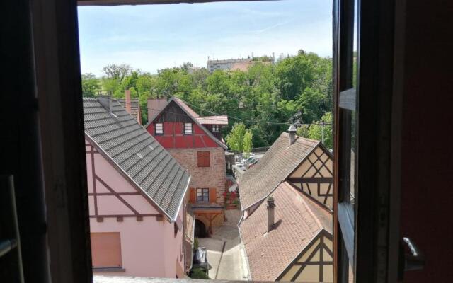 Gîte "Les papillons"