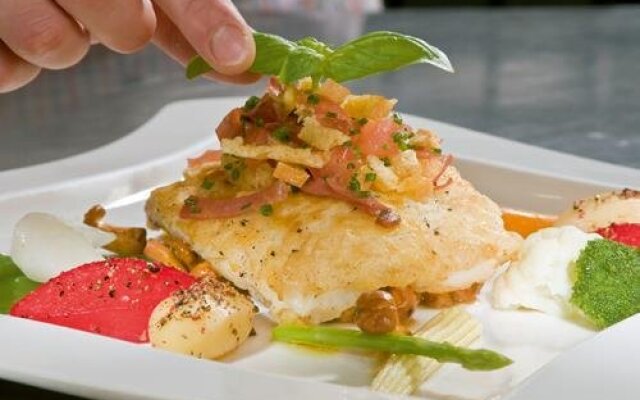 Ringhotel Der Waldkater