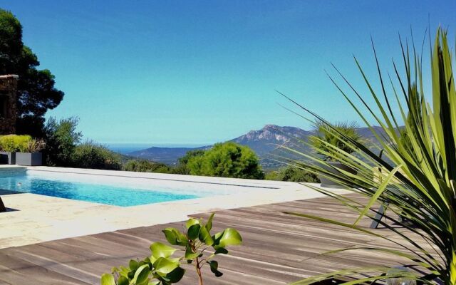 Au pied des oliviers