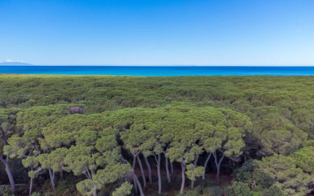 Stella Marina Mono A2