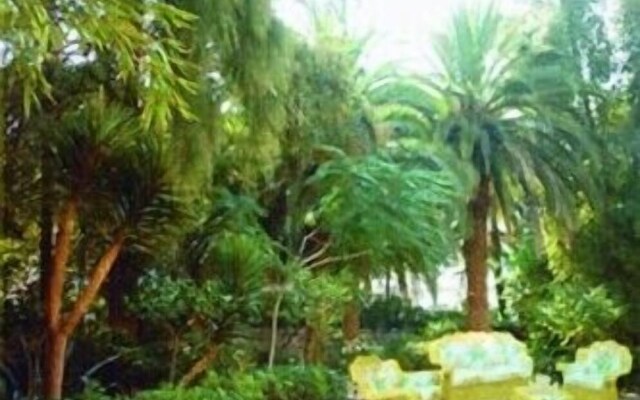 Aedes Resort