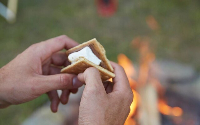 Tentrr â Hollow Tree Camp