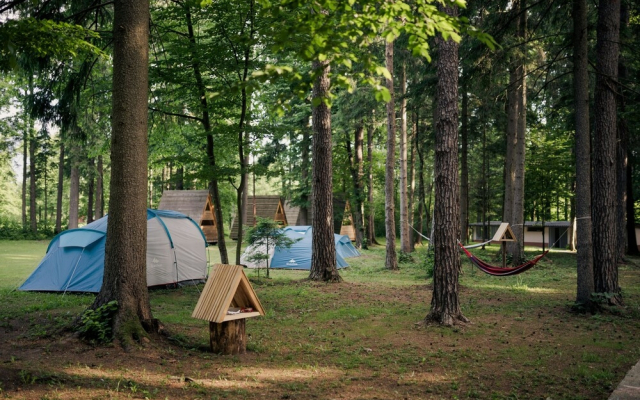 Forest Camping Mozirje
