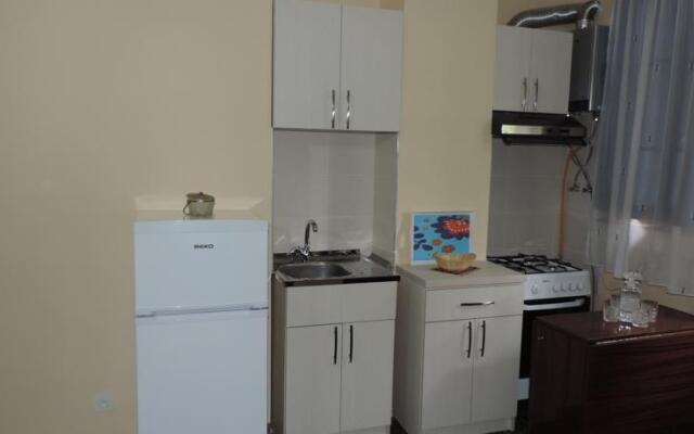Guest House Dolidze