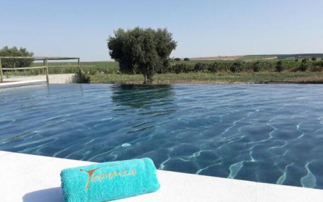 Terras - Agroturismo & Vinhos