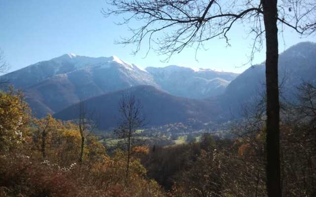 Les Insolites d'Eljie