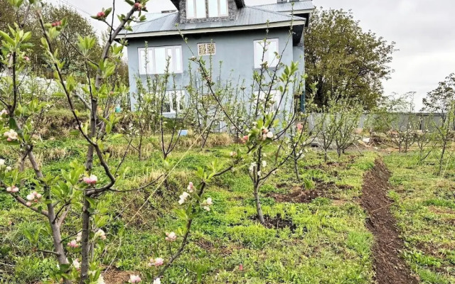 Tavisha River View Orchard Pahalgam