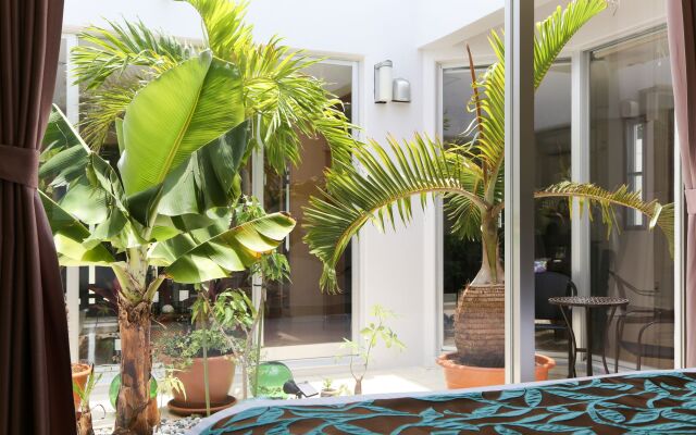 Palm Villa Ishigakijima igusa