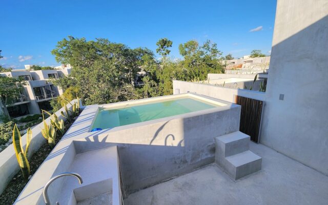 Seremonia Selva by The Spot Rentals