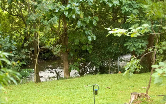 mastodon valley safari resort