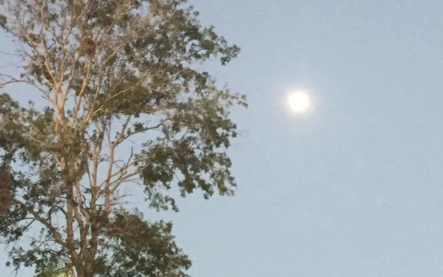 Winterville Residence Suites