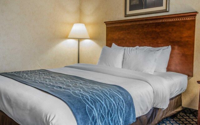 Comfort Inn & Suites