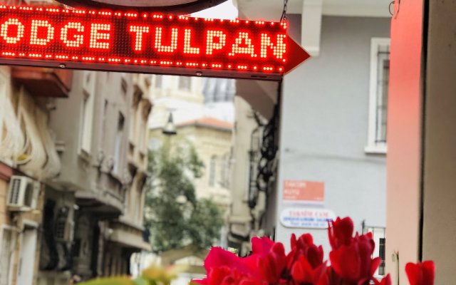 The House of Tulpan