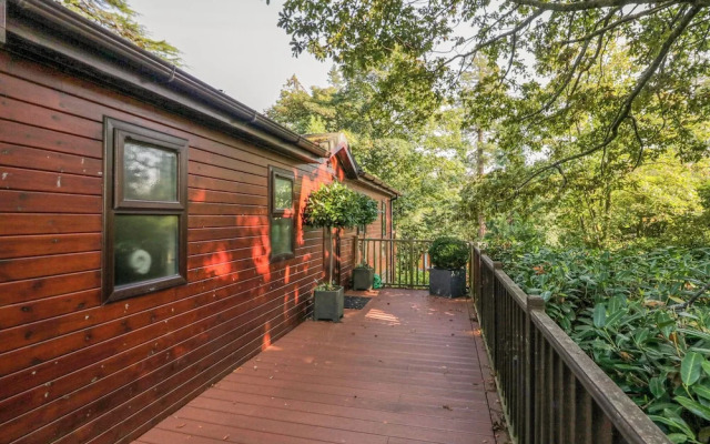 Tree House, Partial Lake Views