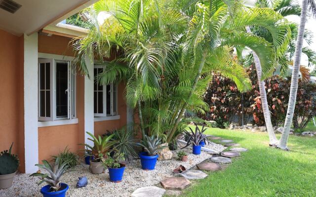 Coconut Palm Hideaway