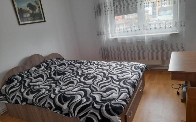 4 Rooms, Spacious downtown apartment in Pitesti