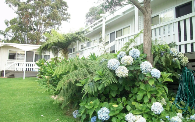 Top of the Lake Units