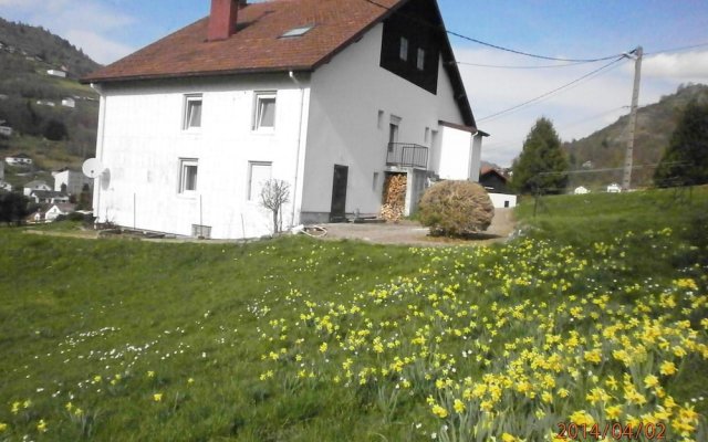 Apartment With 2 Bedrooms in La Bresse, With Wonderful Mountain View a