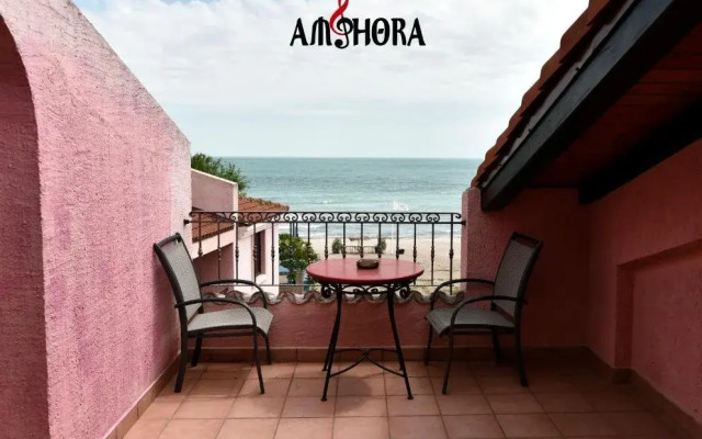 Amphora cm