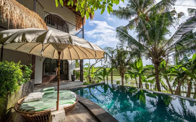 Tropical Private Villa, 3 BR, Canggu Ricefield View