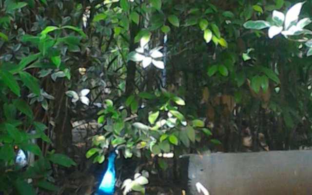 Zahir Retreat