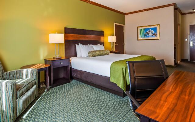 Best Western Plus Woodway Waco South Inn & Suites