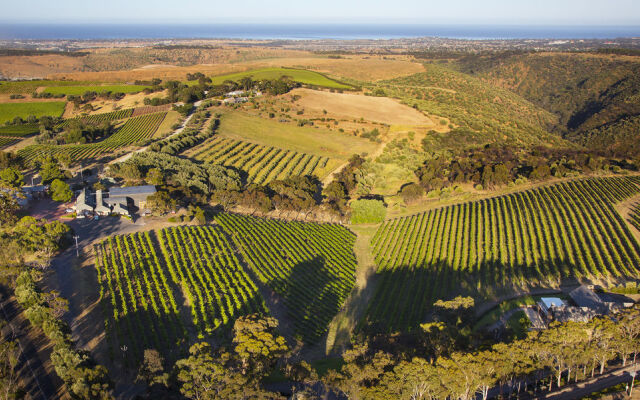 The Retreat at Chapel Hill Winery