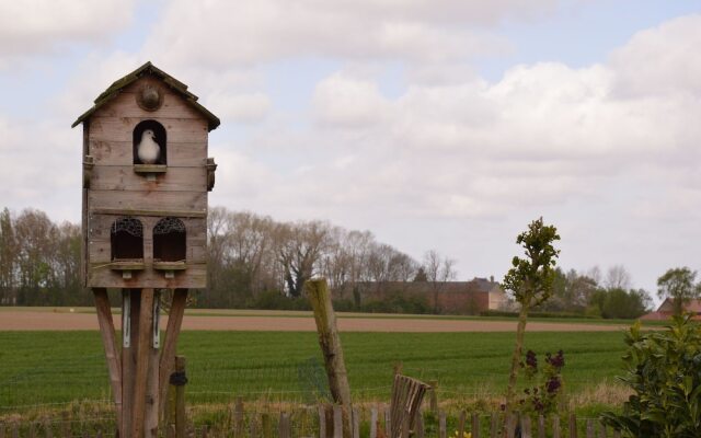 Charming Holiday Home in Hondschoote With Terrace