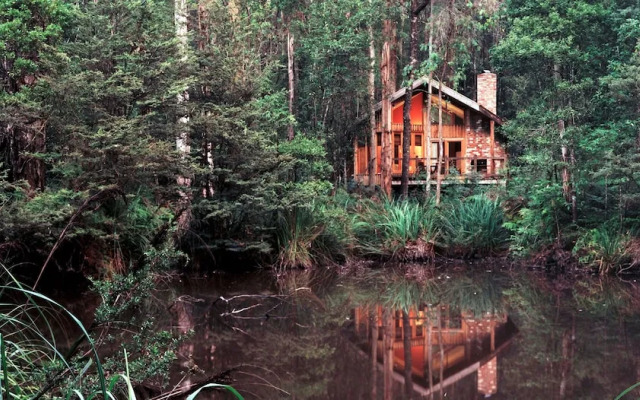 Woodlands Rainforest Retreat