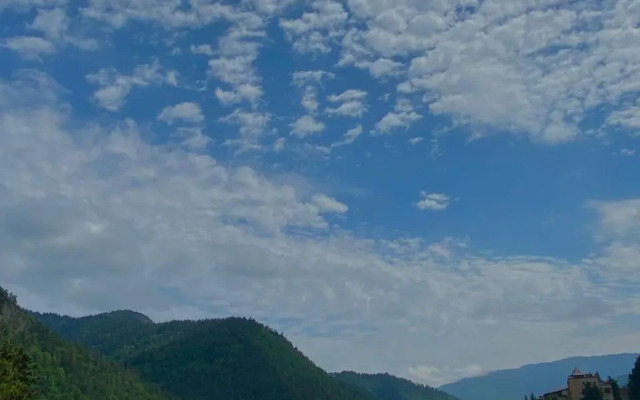 Borjomi Central