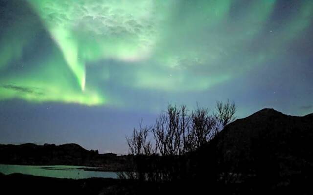 Superior Cottage with Sea View in Senja