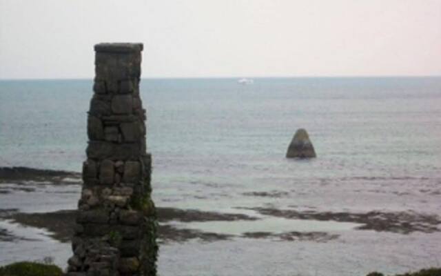 Tigh Fitz Guesthouse