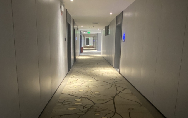 Aksu Dongcheng Hotel