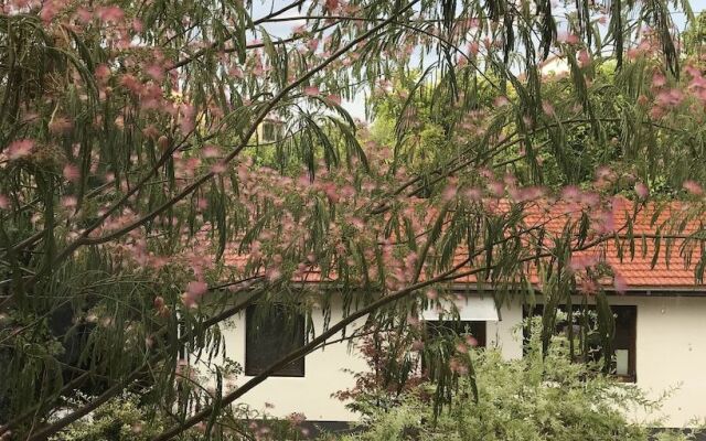 Passpartout Hostel