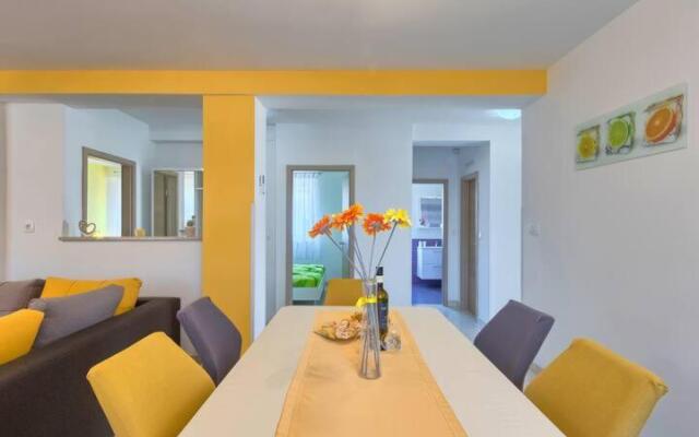 Apartment Viola ,2019