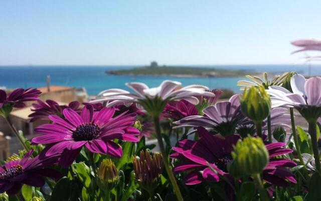 Apartments TERRAZZA DEI DUE MARI