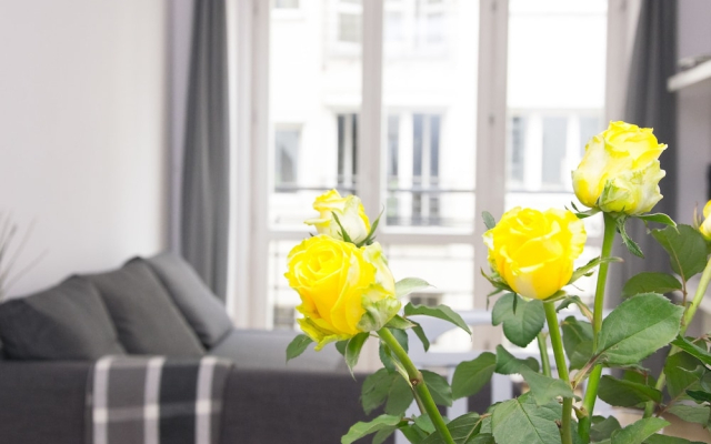 Spacious apartment in Old Town p4you pl