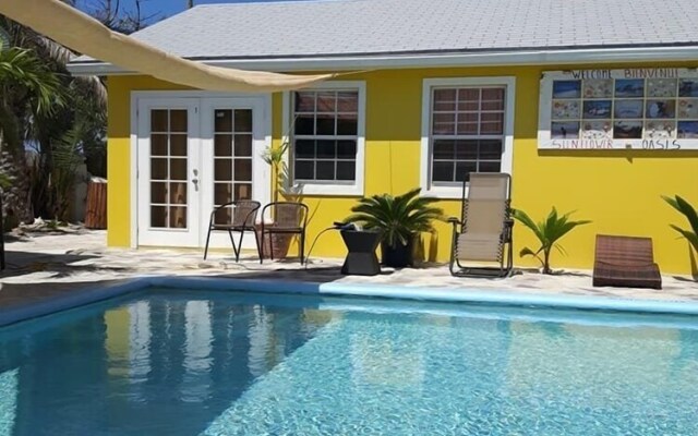 Sunflower Oasis