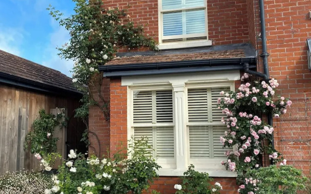 The Room in the Garden