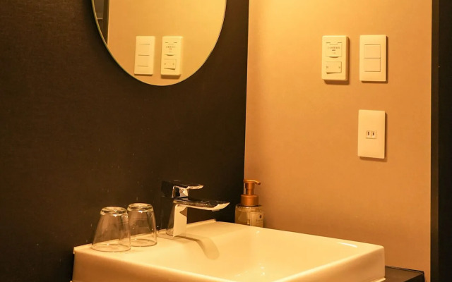 Nplus hotel akihabara