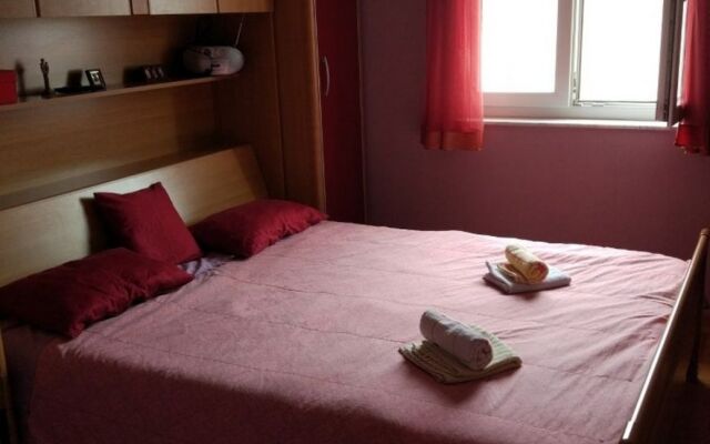 Apartment Ivan - with parking : A1 Biograd, Riviera Biograd